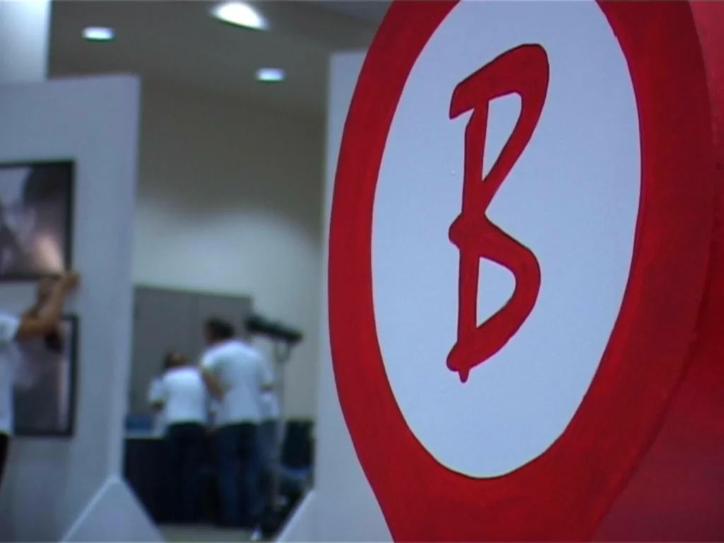 B Here – art exhibition, University of California Irvine, 2009