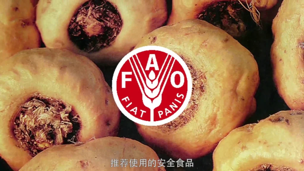 Still from the Maca 868 product presentation video for Lijian Zangyuan (立健藏元), featuring packaging and health supplement presentation in China
