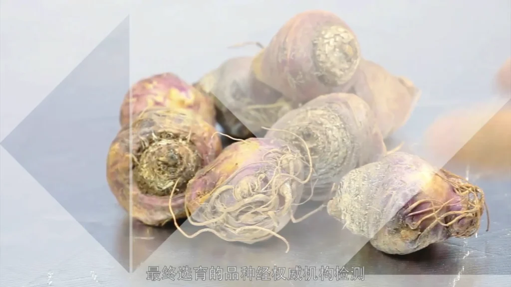 Still from the Maca 868 product presentation video for Lijian Zangyuan (立健藏元), featuring packaging and health supplement presentation in China