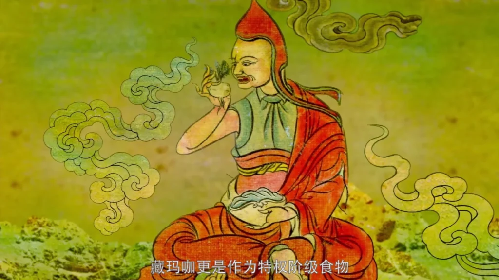 Still from the Maca 868 product presentation video for Lijian Zangyuan (立健藏元), featuring packaging and health supplement presentation in China