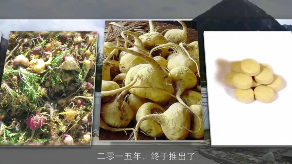 Still from the Maca 868 product presentation video for Lijian Zangyuan (立健藏元), featuring packaging and health supplement presentation in China