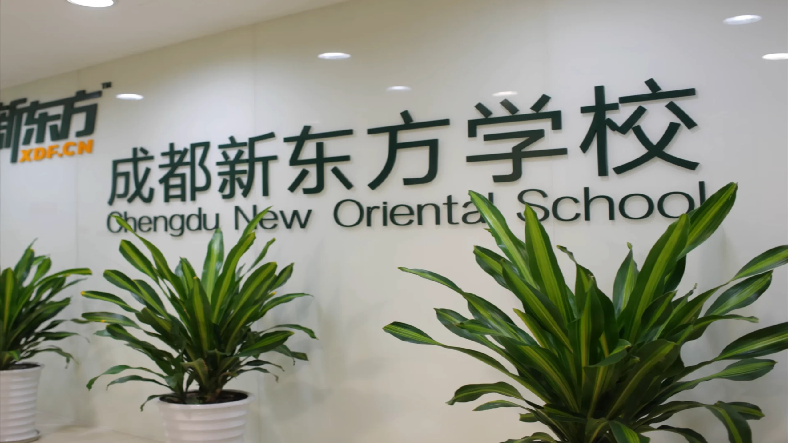 Still from the corporate tribute video for New Oriental School’s 10th anniversary (2013), teachers and staff reflecting on experiences in Beijing, China