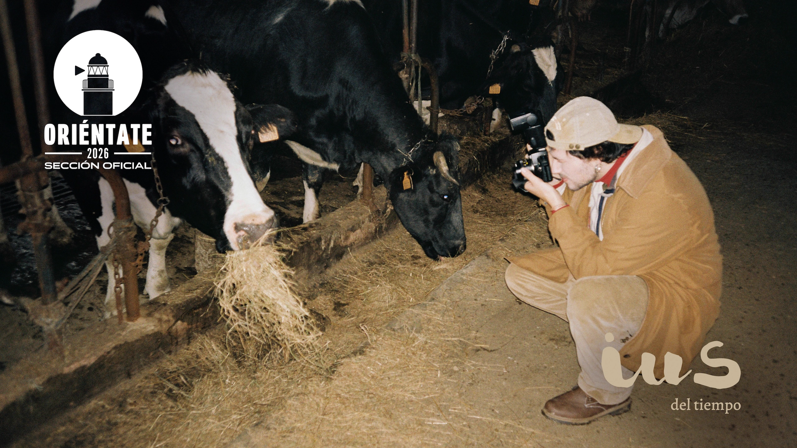 Analogue still from IUS of Time showing Luca photographing a cow in a rural Asturian setting, selected for the 5th Oriéntate Llanes Film Festival (2026)